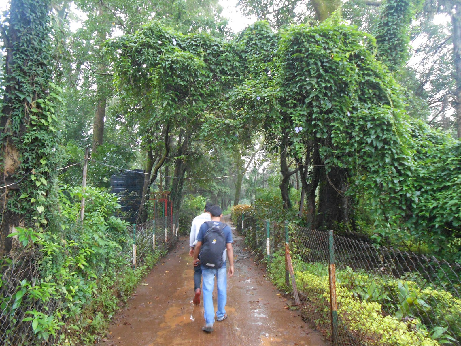 Orchid and Botanical Garden