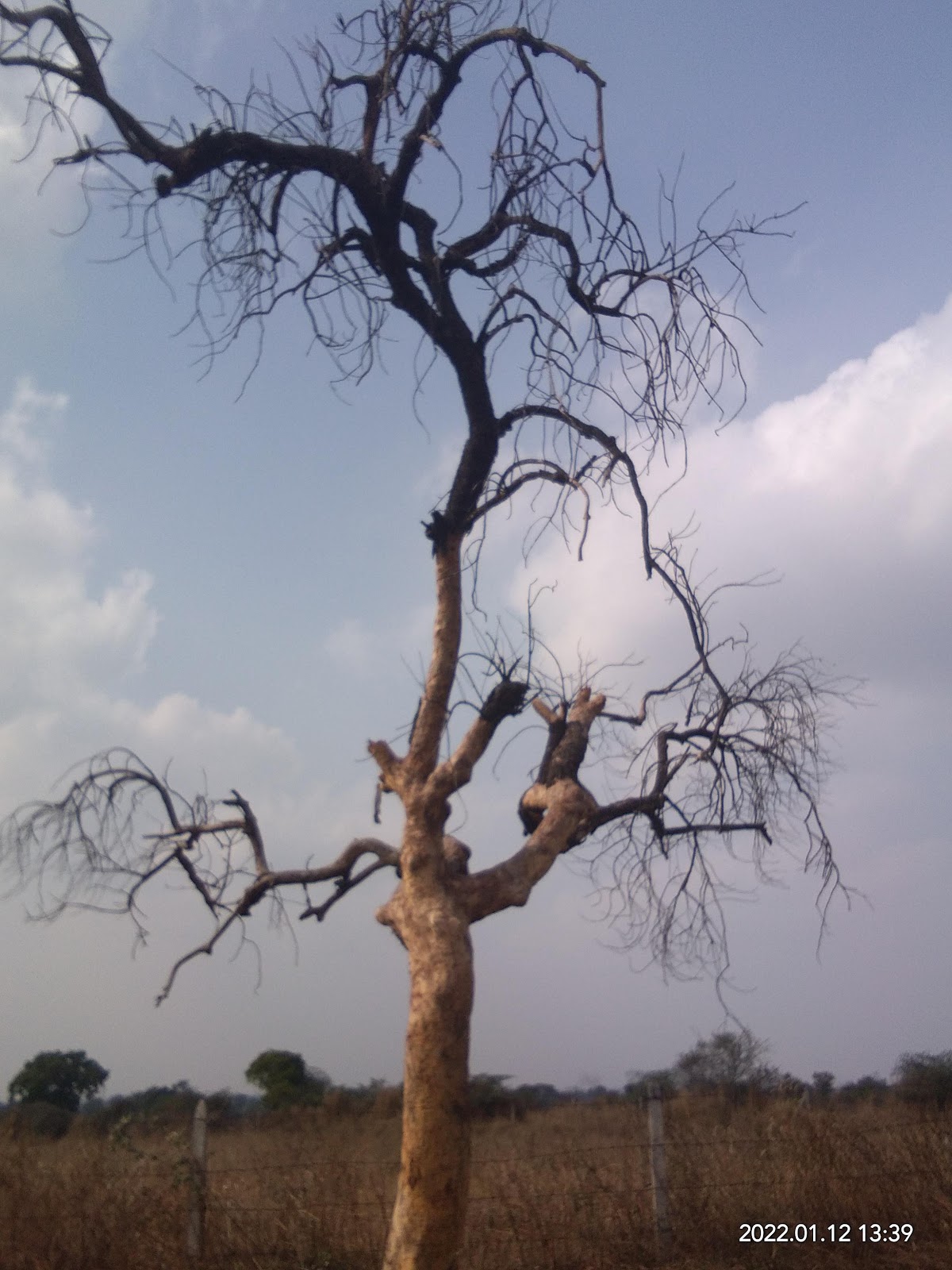 Khamgaon Historical Walk