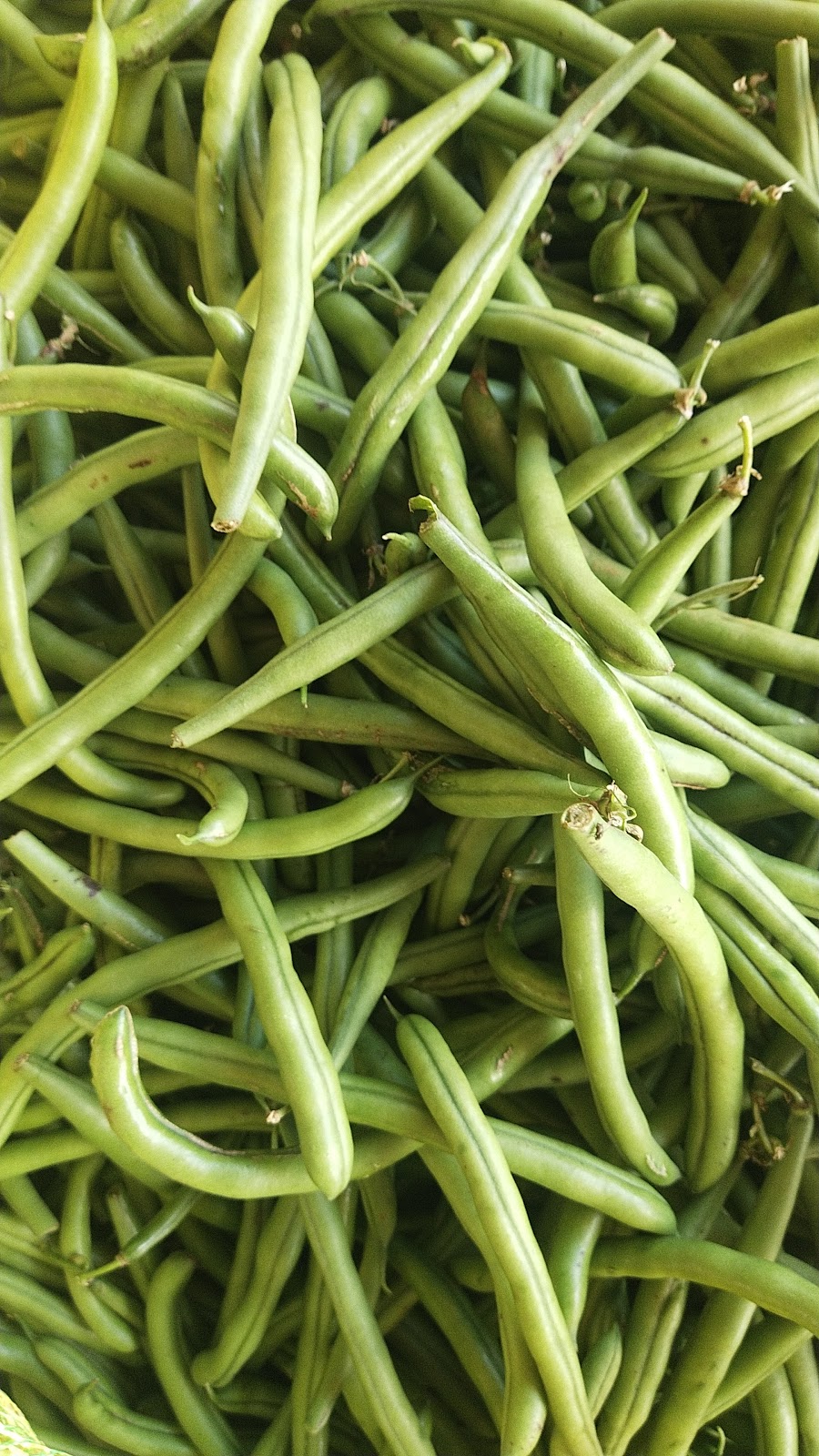 Local Handicraft Market