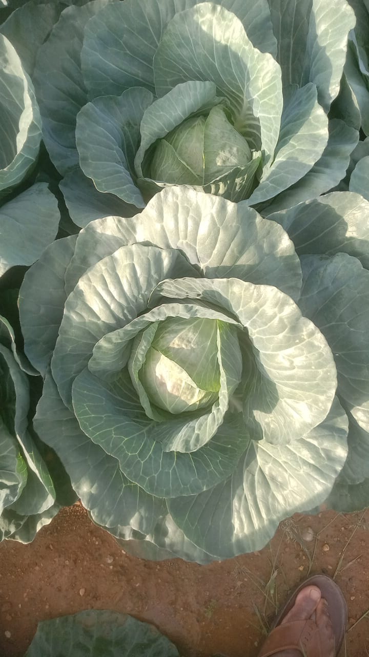 Local Handicraft Market