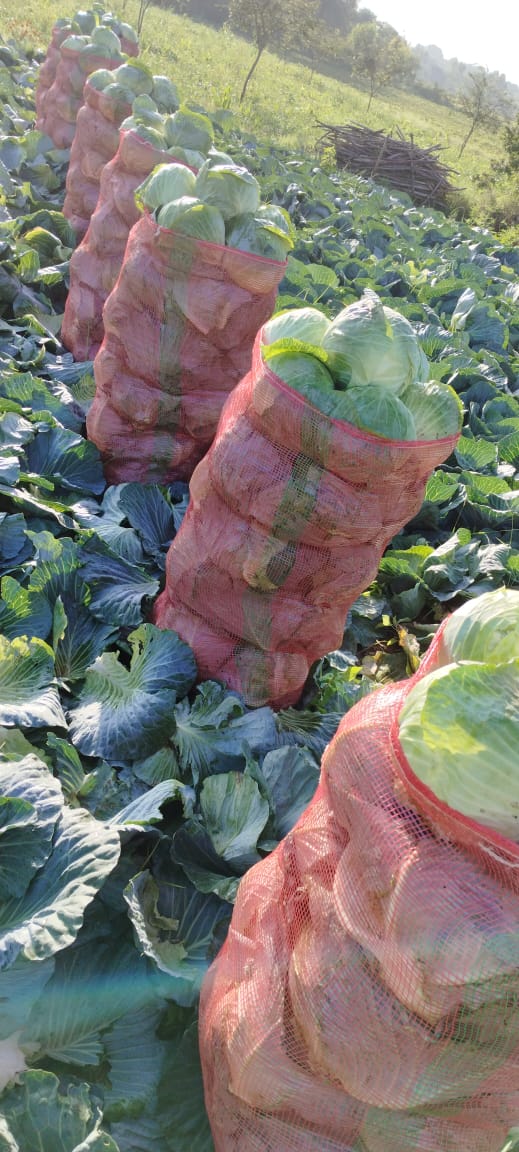 Local Handicraft Market