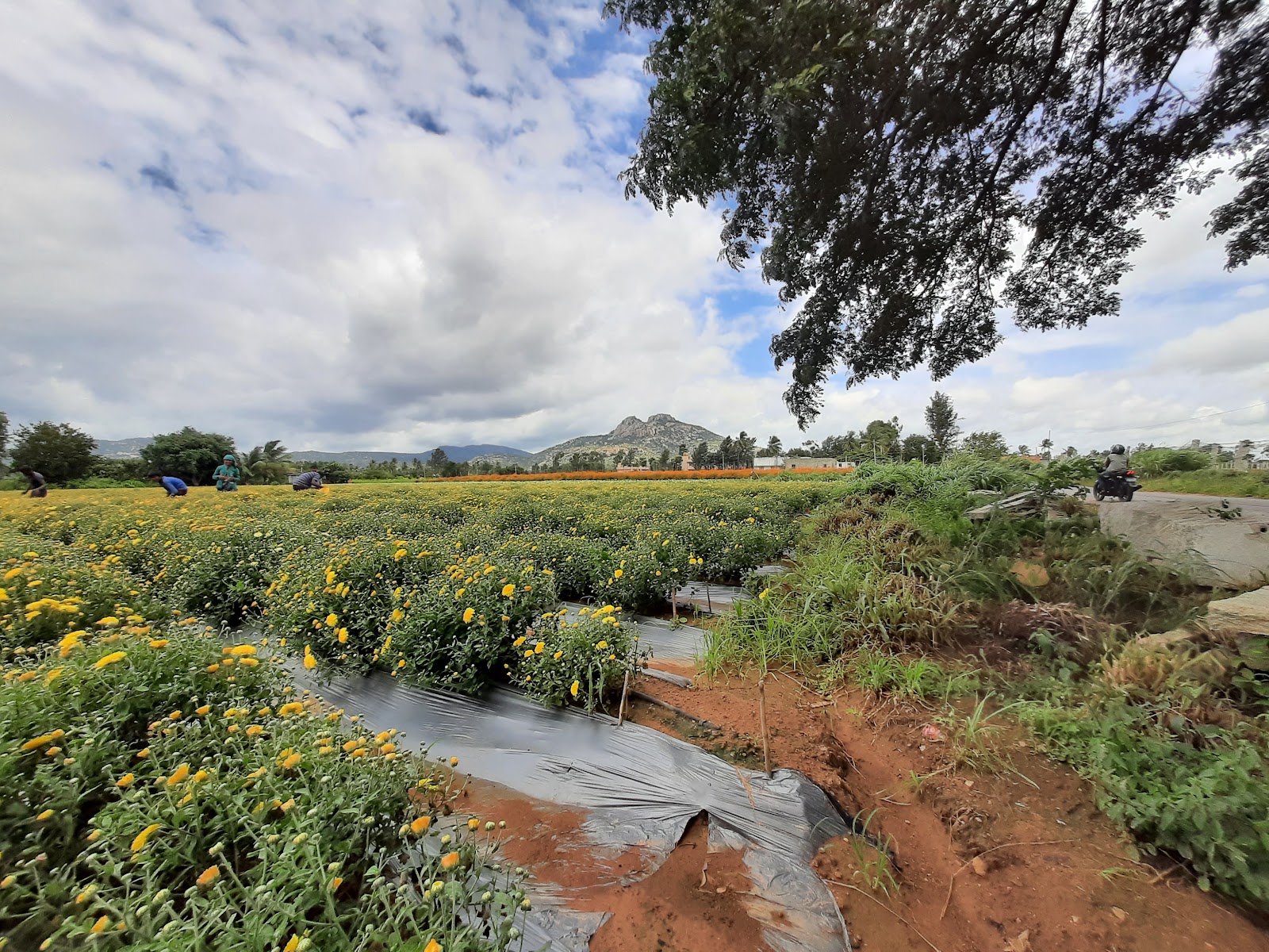 Chikkaballapur - A Gateway to Adventure and Heritage