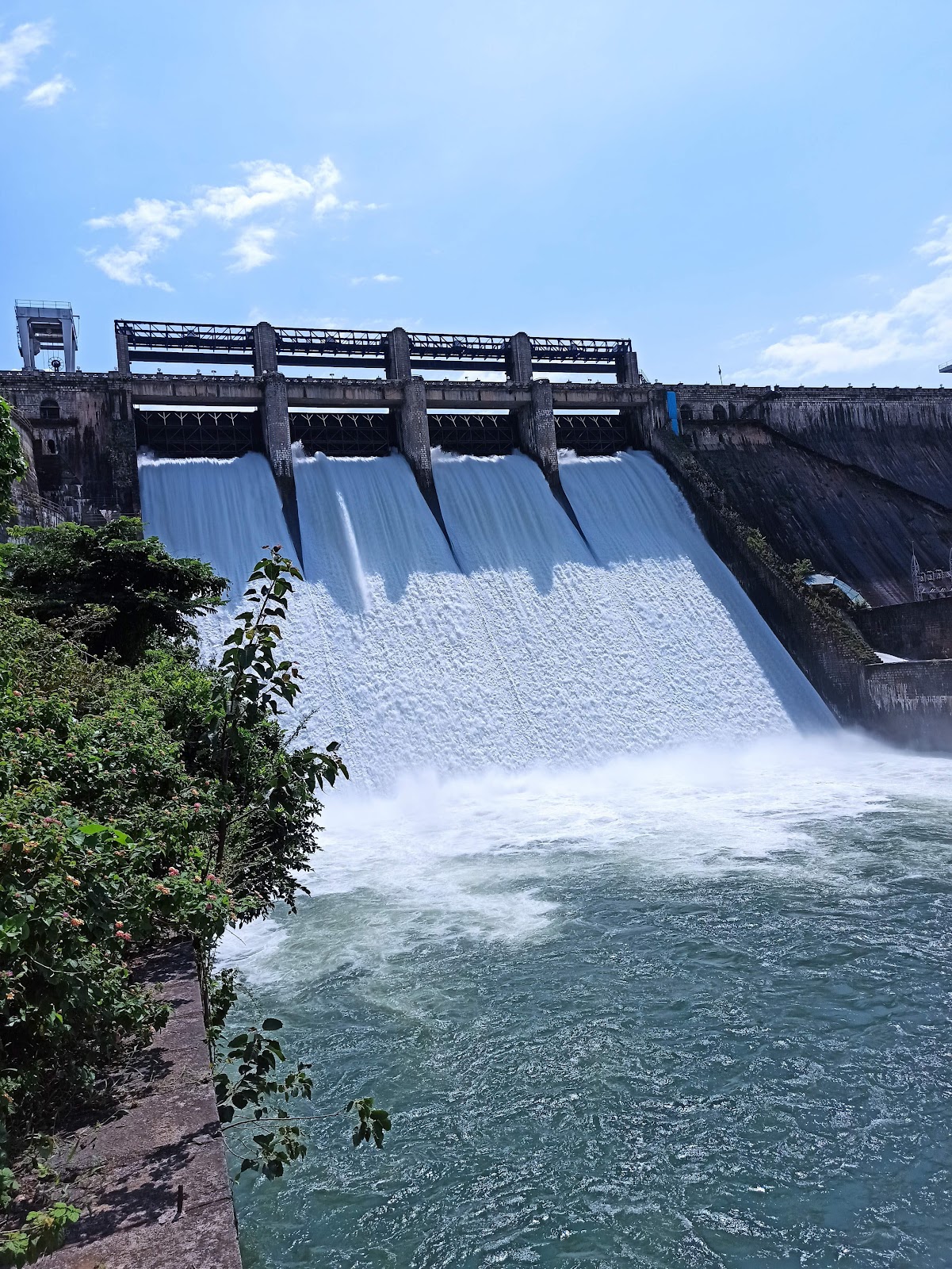 Bhadra Wildlife Sanctuary