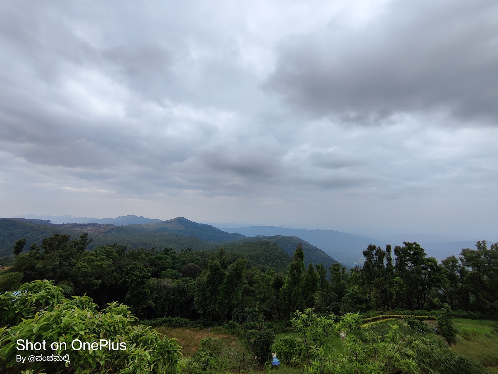 Bhadra Wildlife Sanctuary