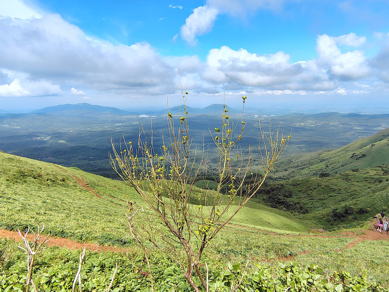 Bhadra Wildlife Sanctuary