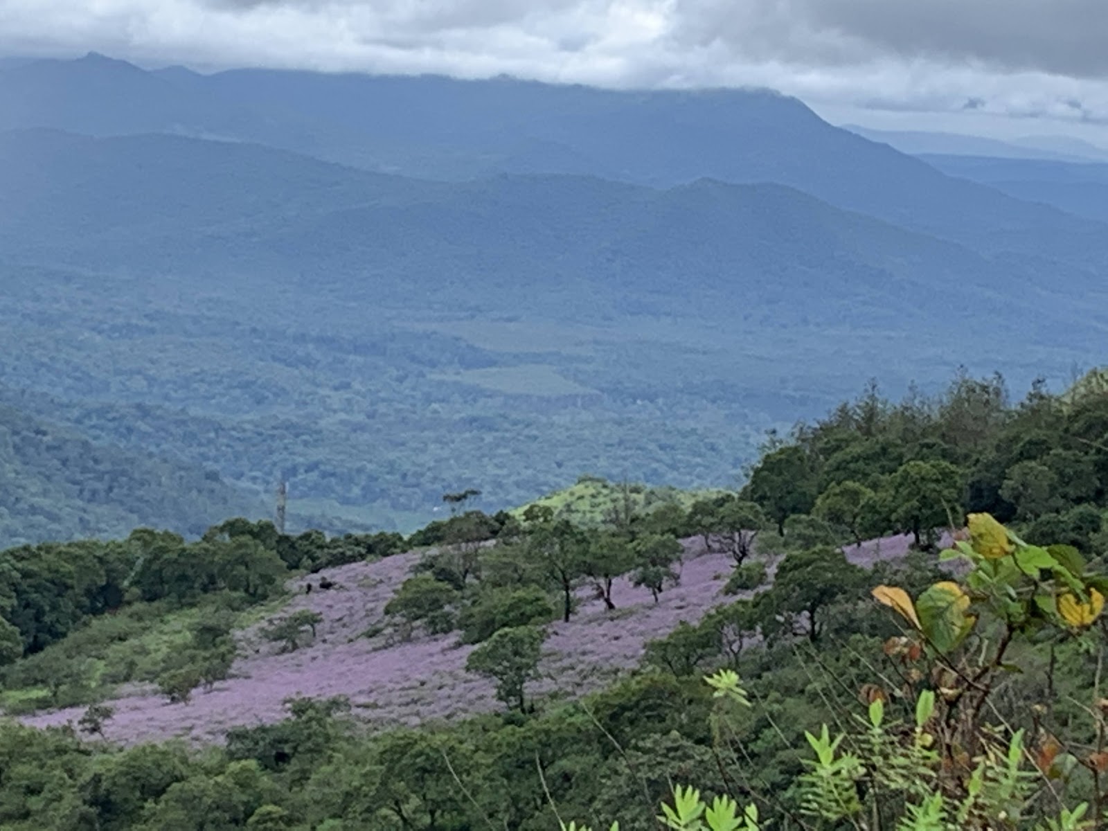 Bhadra Wildlife Sanctuary