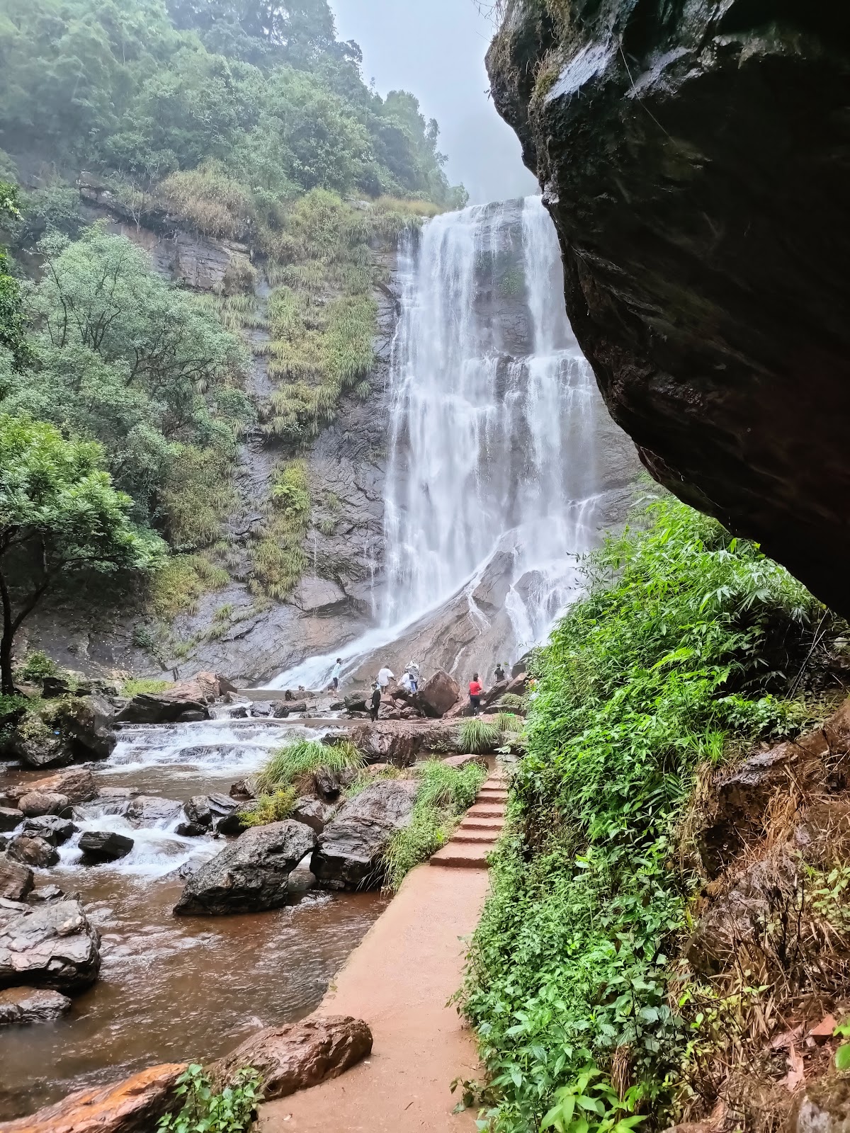 Bhadra Wildlife Sanctuary