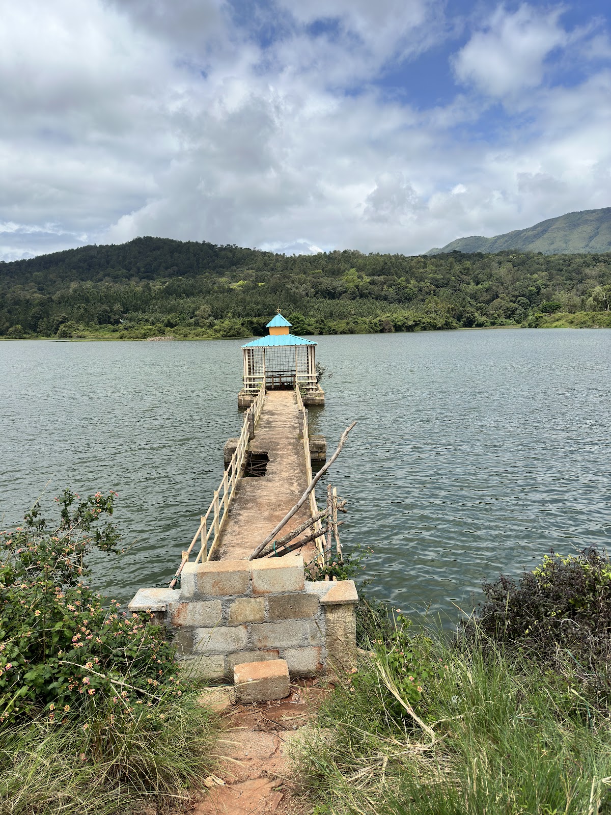 Bhadra Wildlife Sanctuary