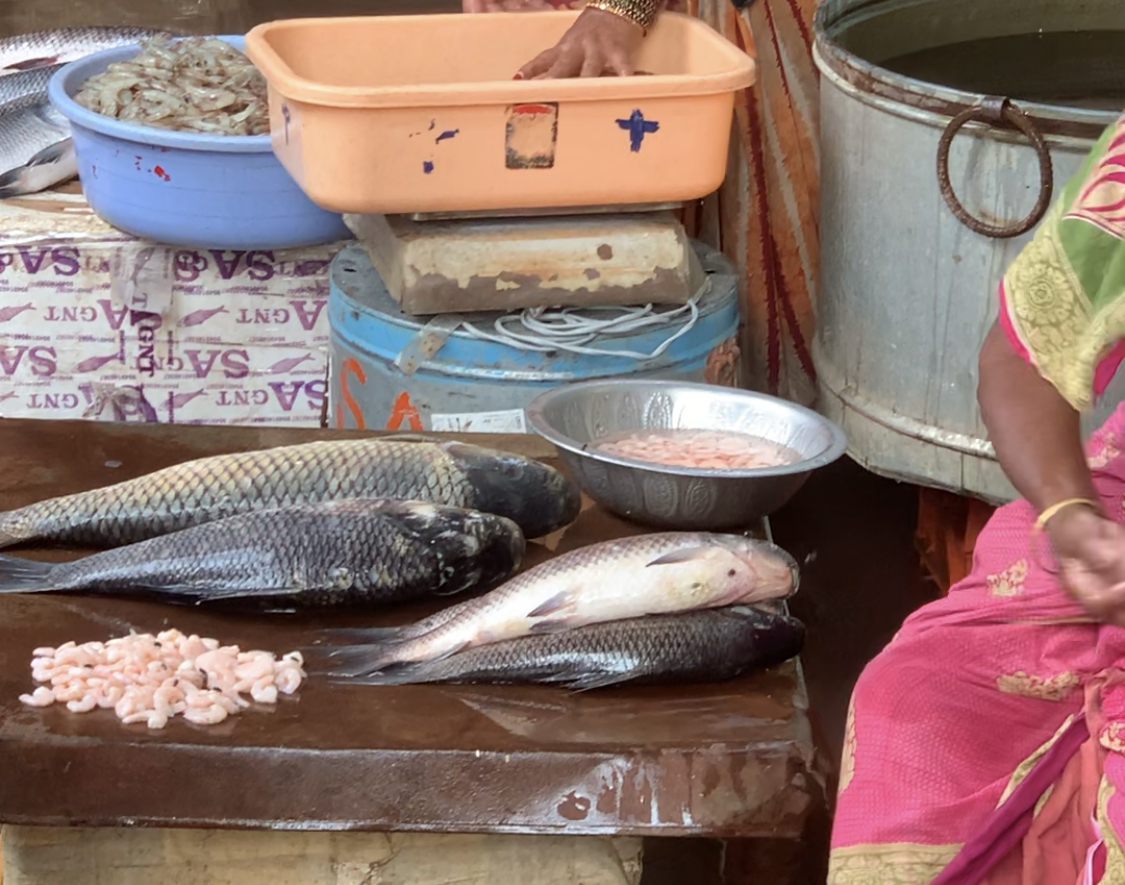 Local Fish Market