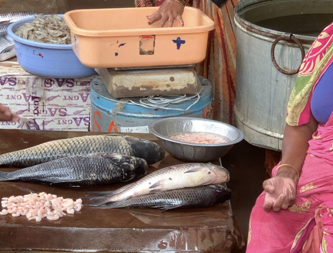 Local Fish Market