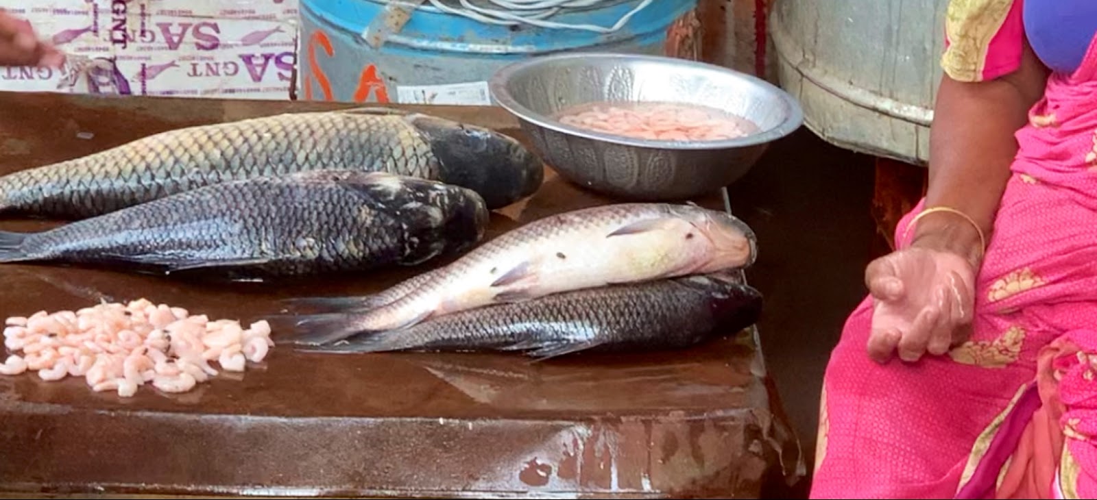 Local Fish Market