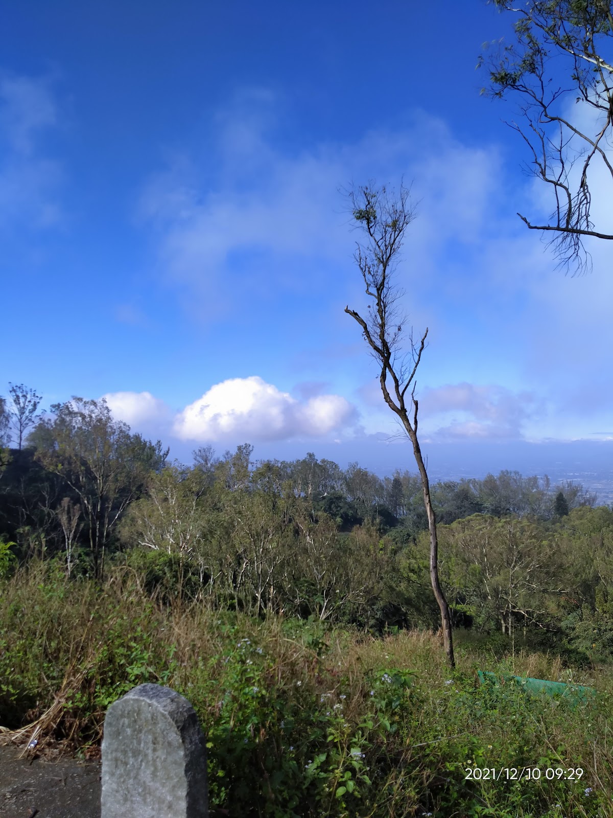 Nandi Hills Trekking Trails