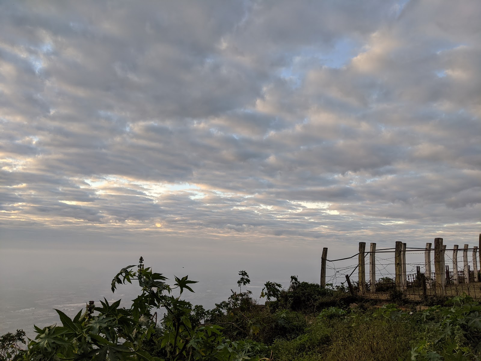 Nandi Hills Trekking Trails