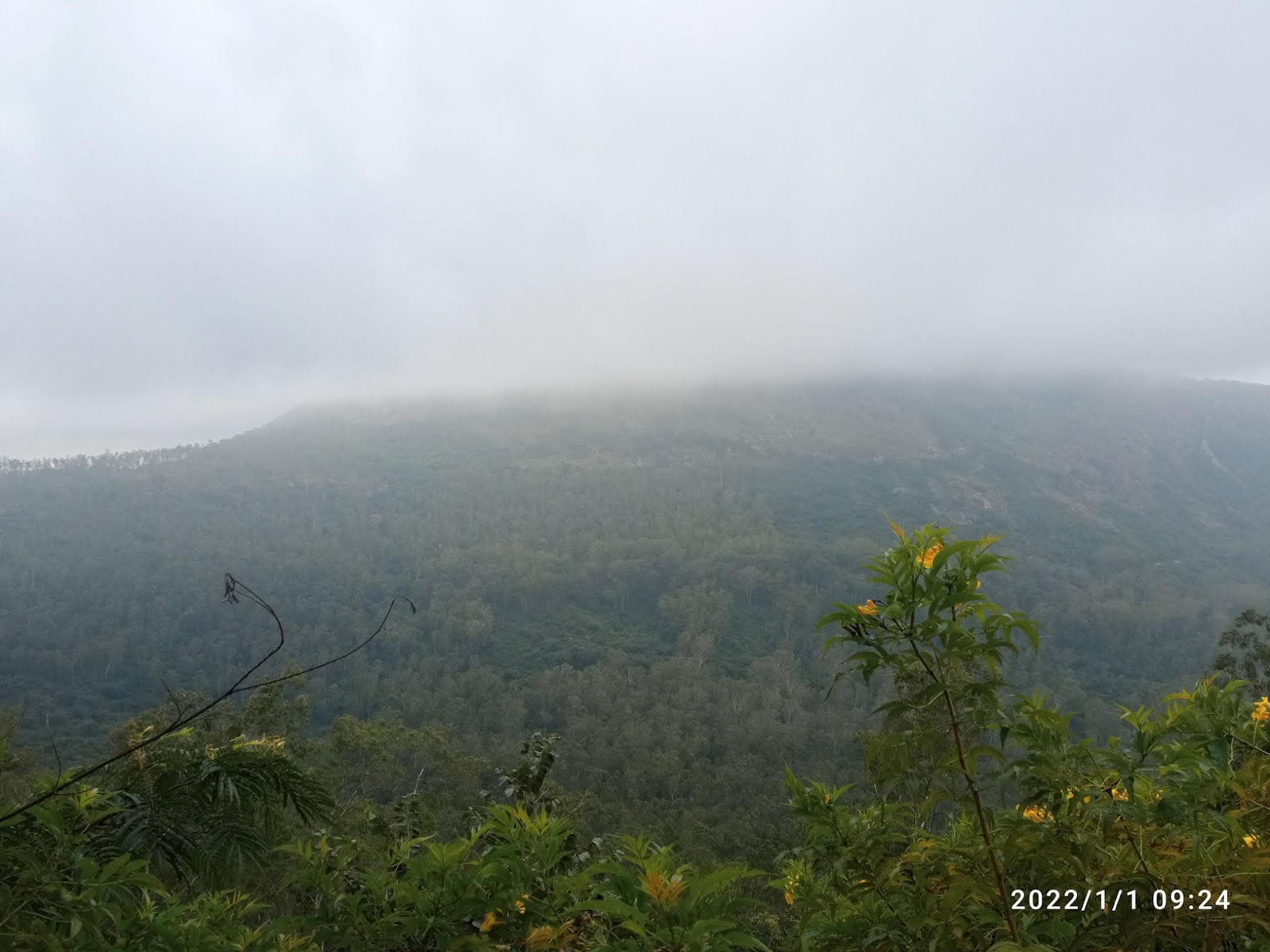 Nandi Hills Trekking Trails