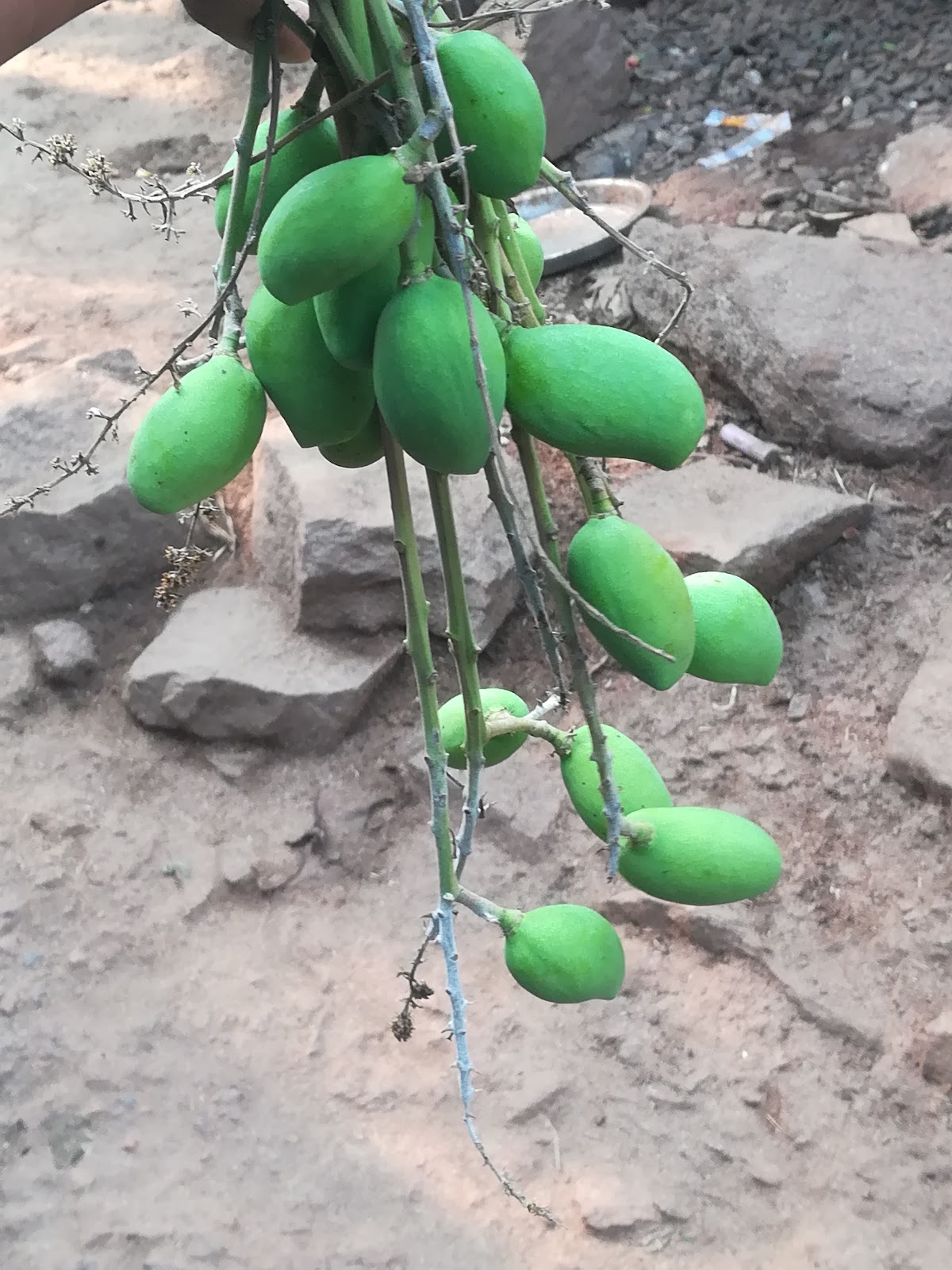 Chintapalli Viewpoint