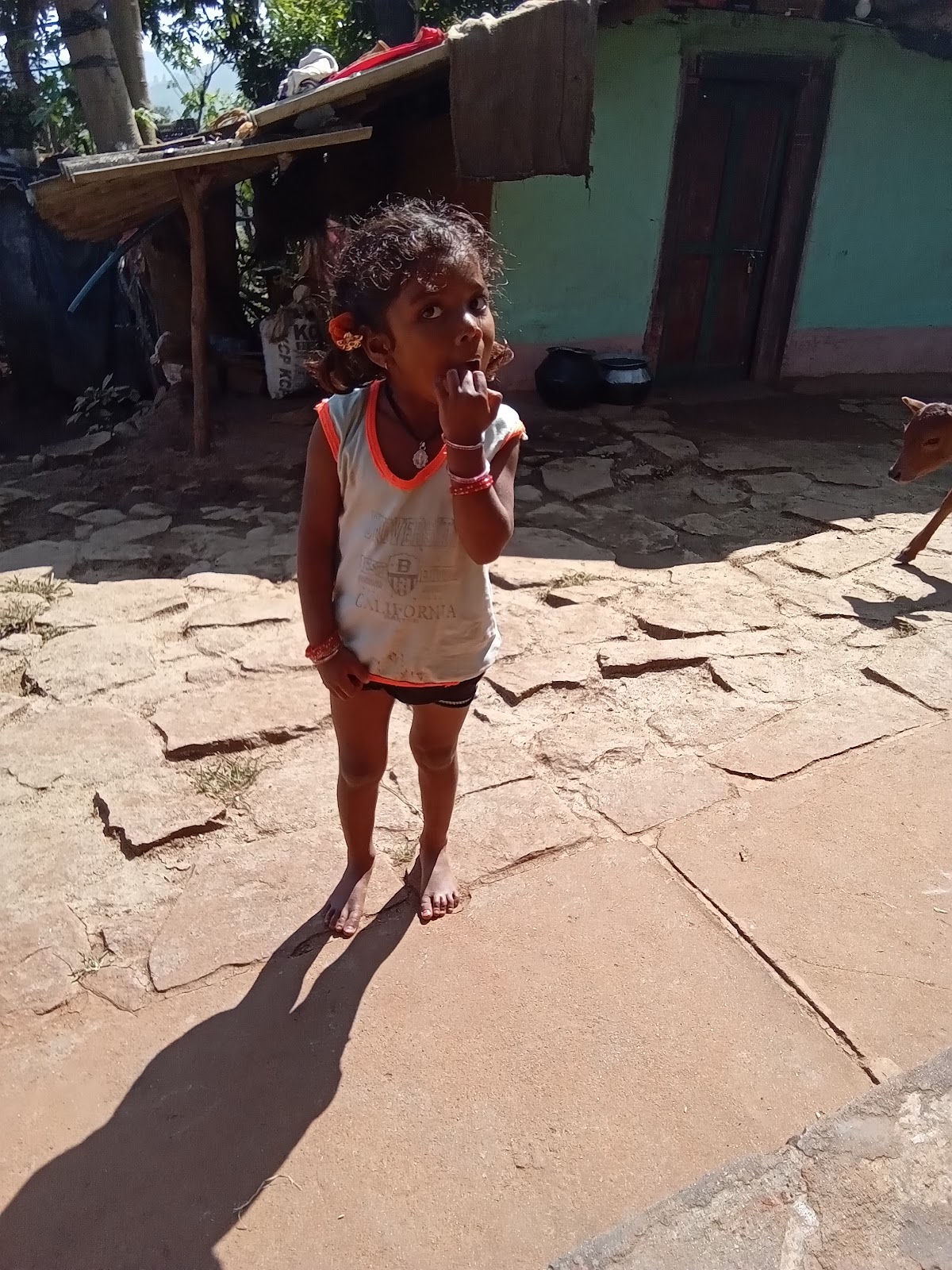 Chintapalli Viewpoint