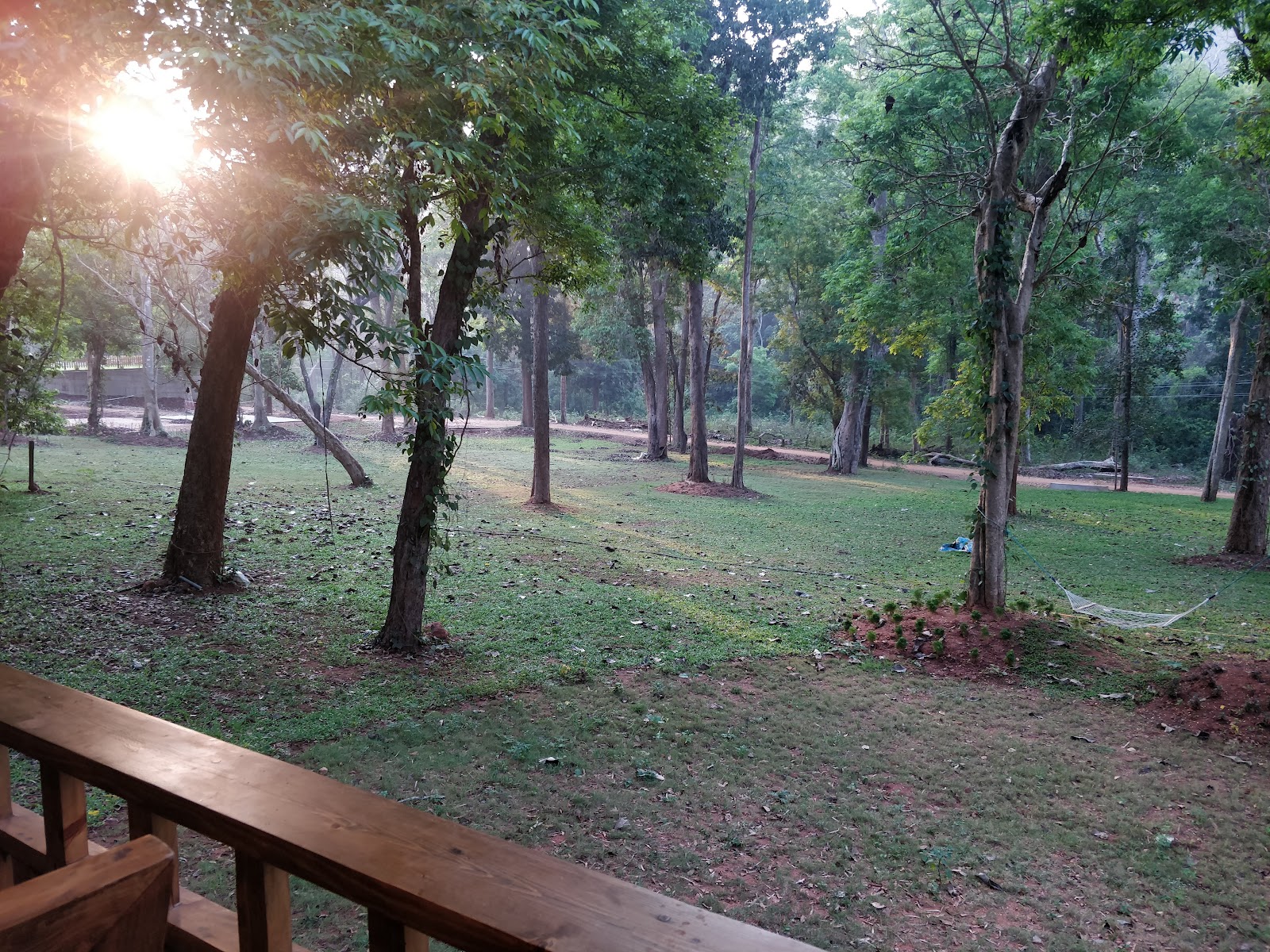 Coffee Plantations of Chintapalli