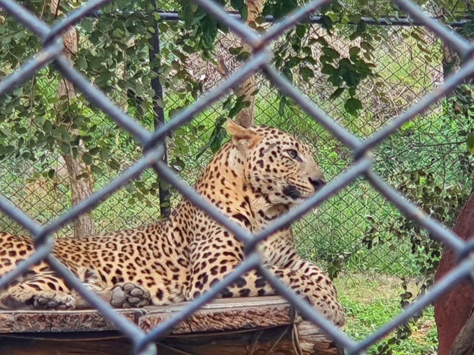 Chittoor Zoo