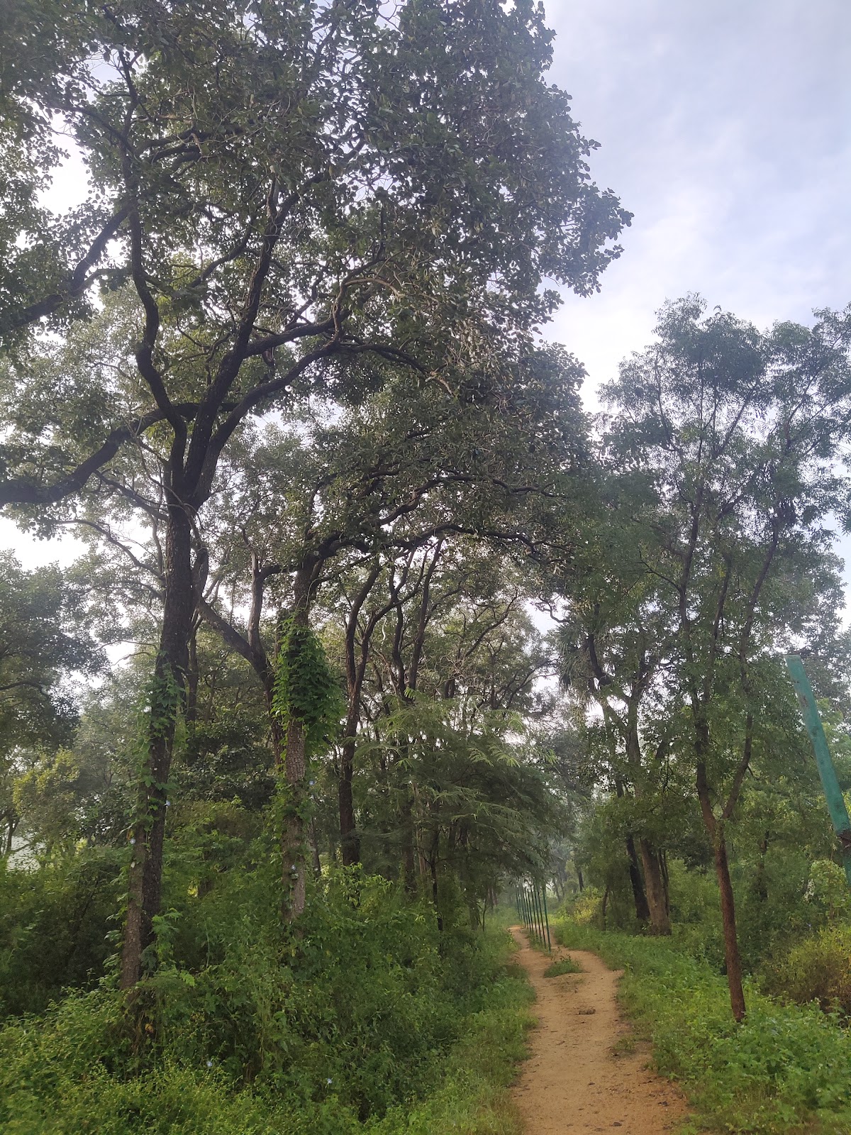 Sri Venkateswara National Park