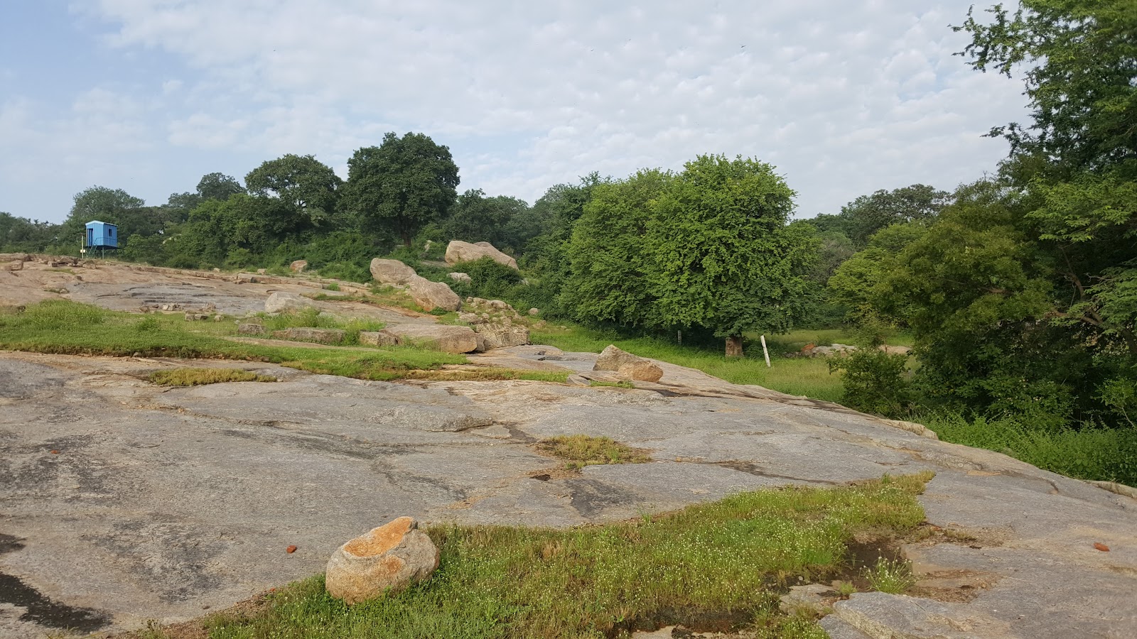 Sri Venkateswara National Park
