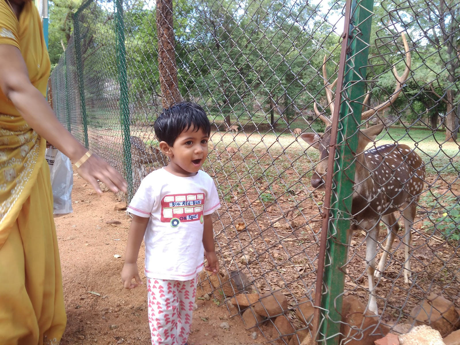 Sri Venkateswara National Park
