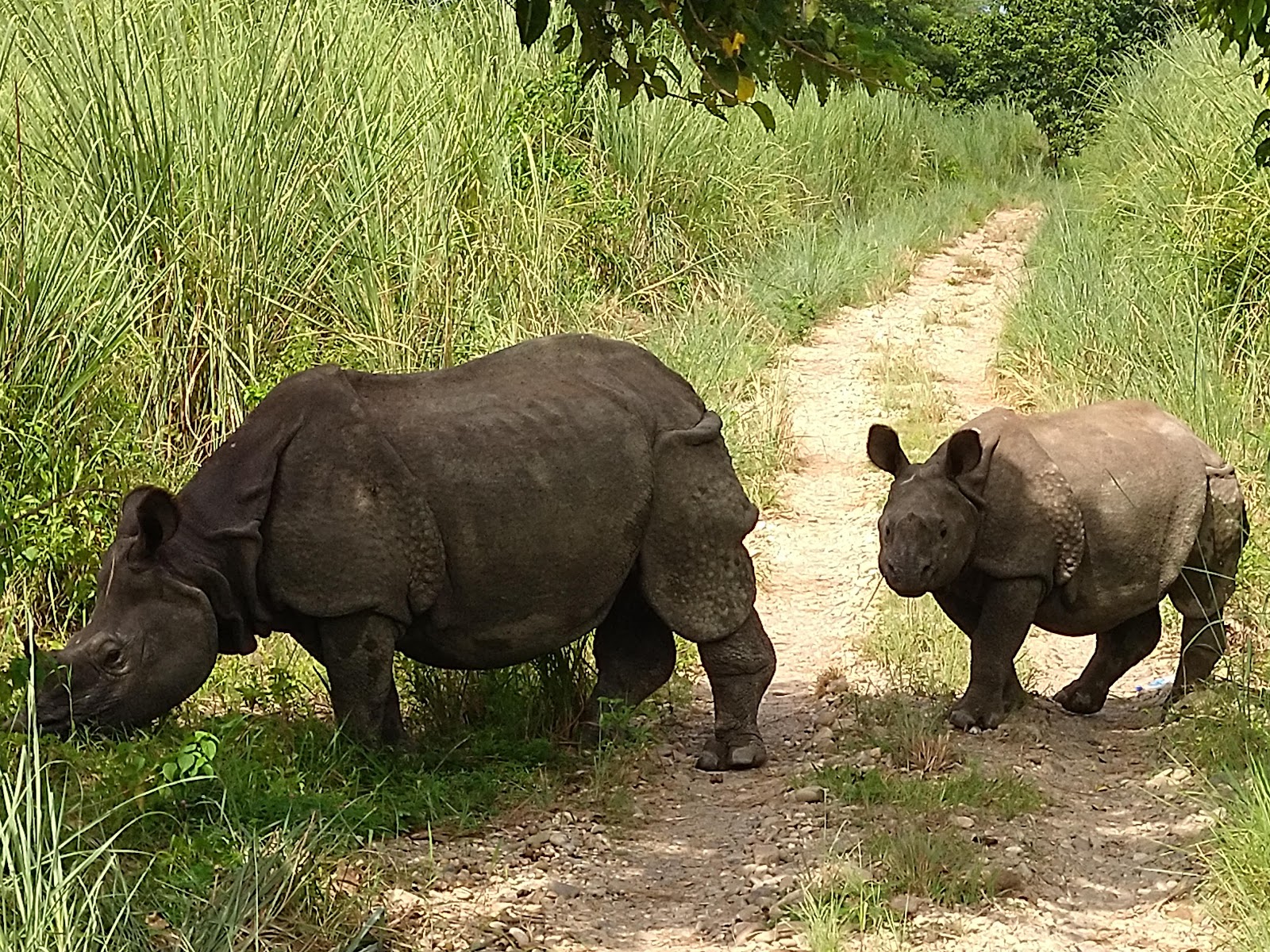 Chitwan National Park