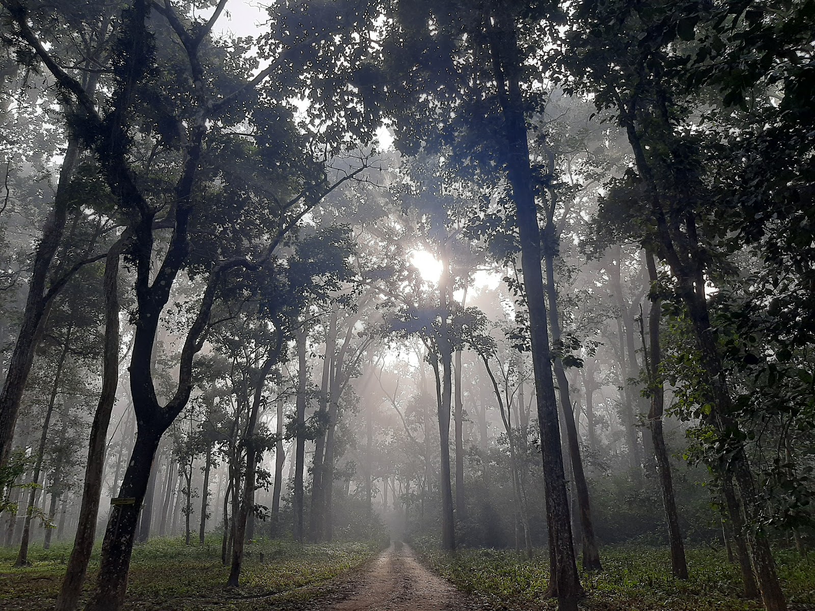 Chitwan National Park