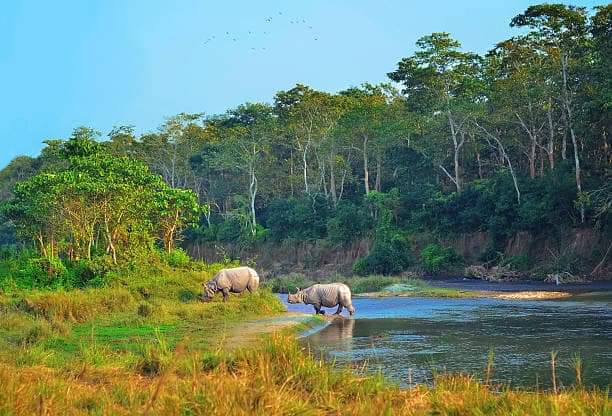 Chitwan National Park