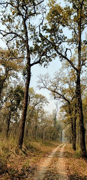 Chitwan National Park Visitor Center