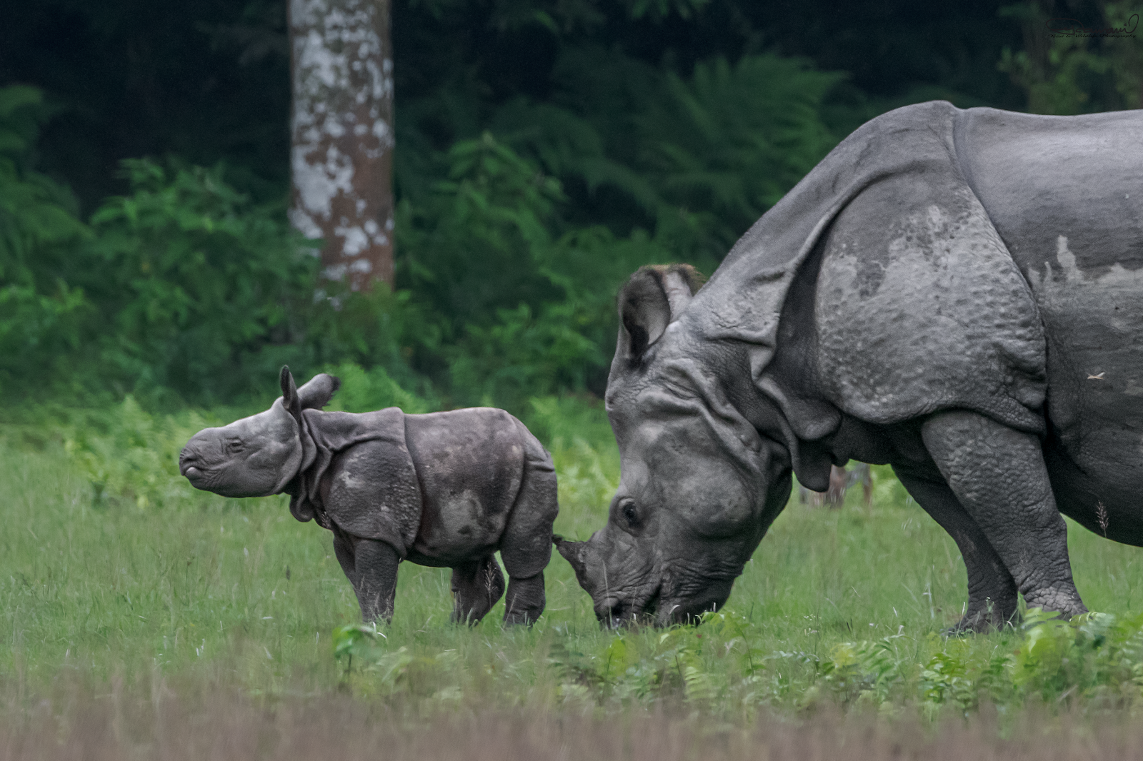 Chitwan National Park Visitor Center