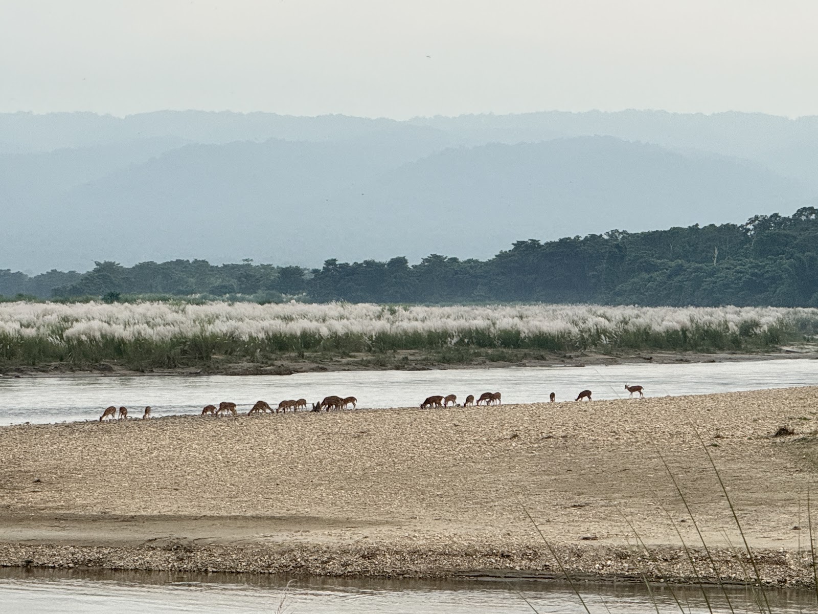 Chitwan National Park Visitor Center