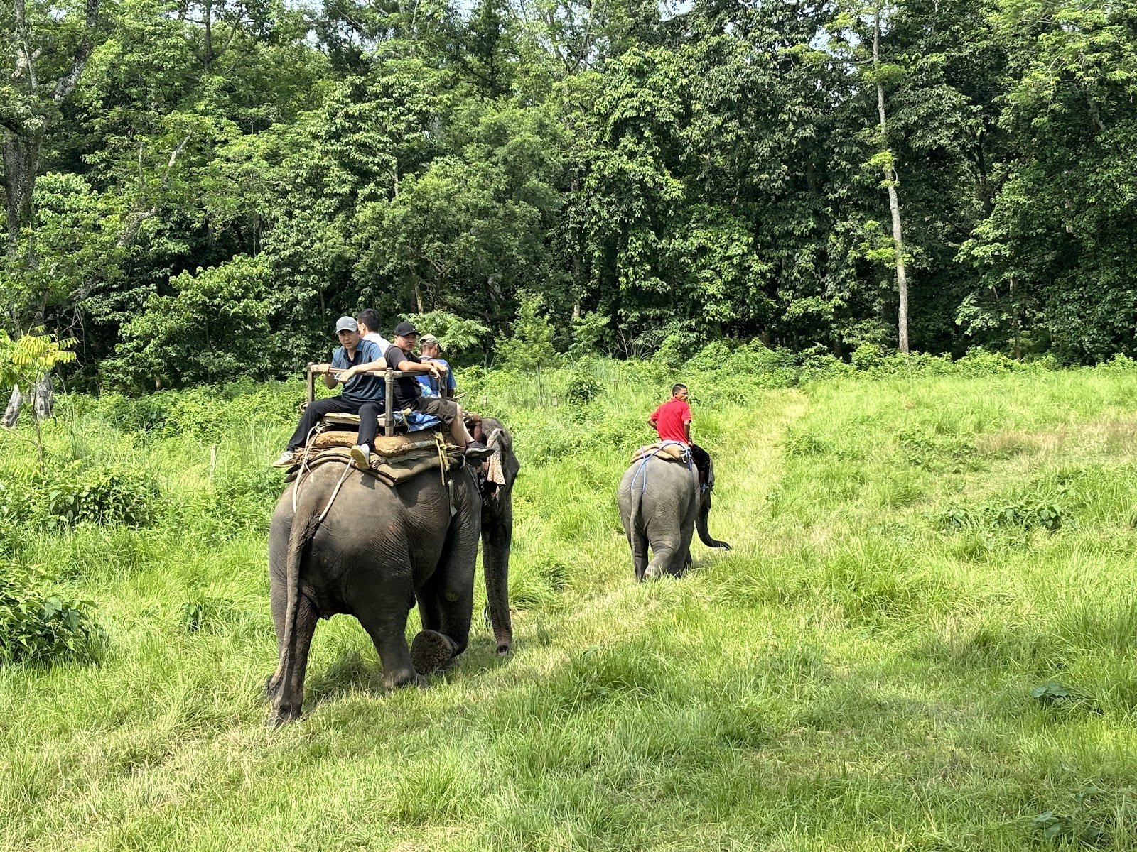 Chitwan National Park Visitor Center