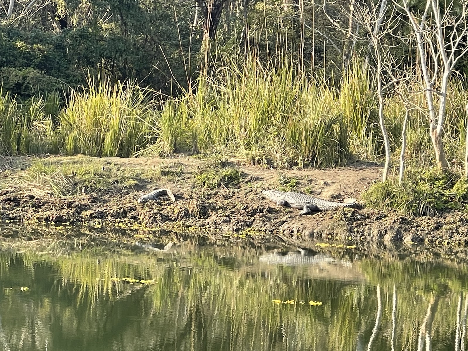 Chitwan National Park Visitor Center