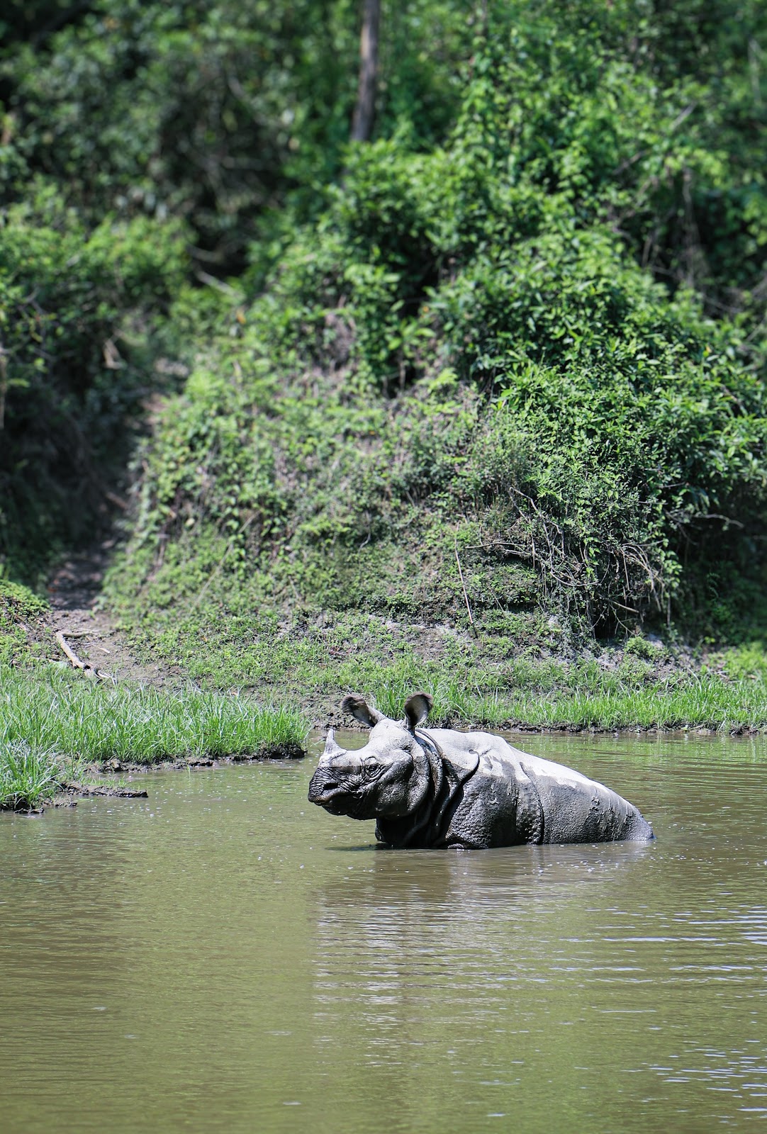 Chitwan National Park Visitor Center