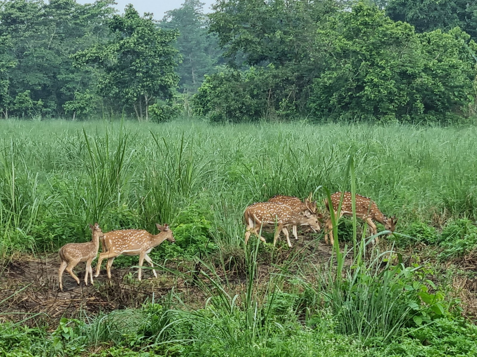 Chitwan National Park Visitor Center