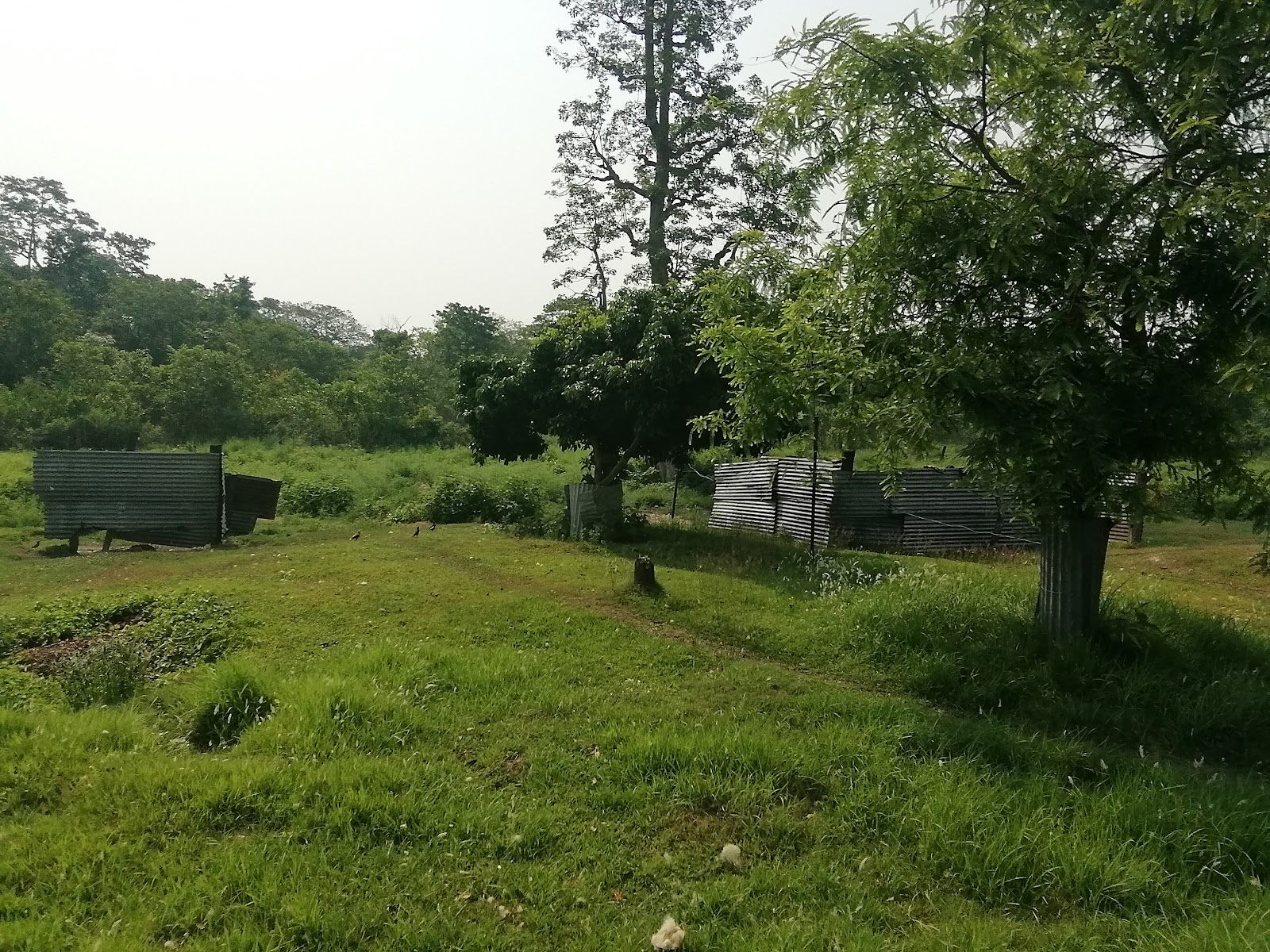 Elephant Breeding Center