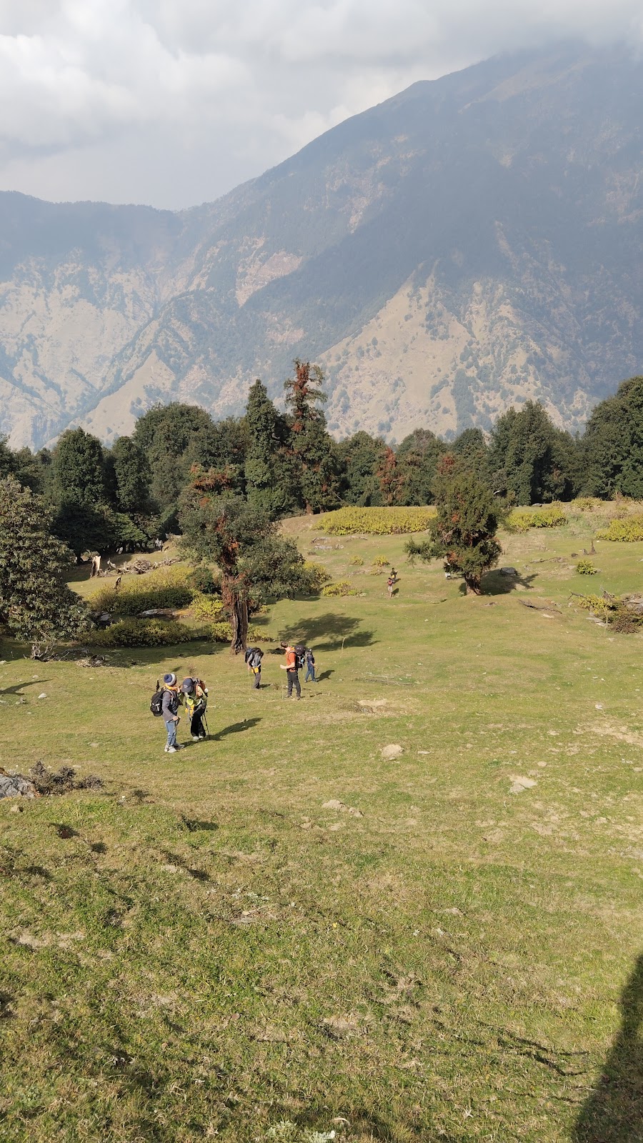 Chopta Viewpoint