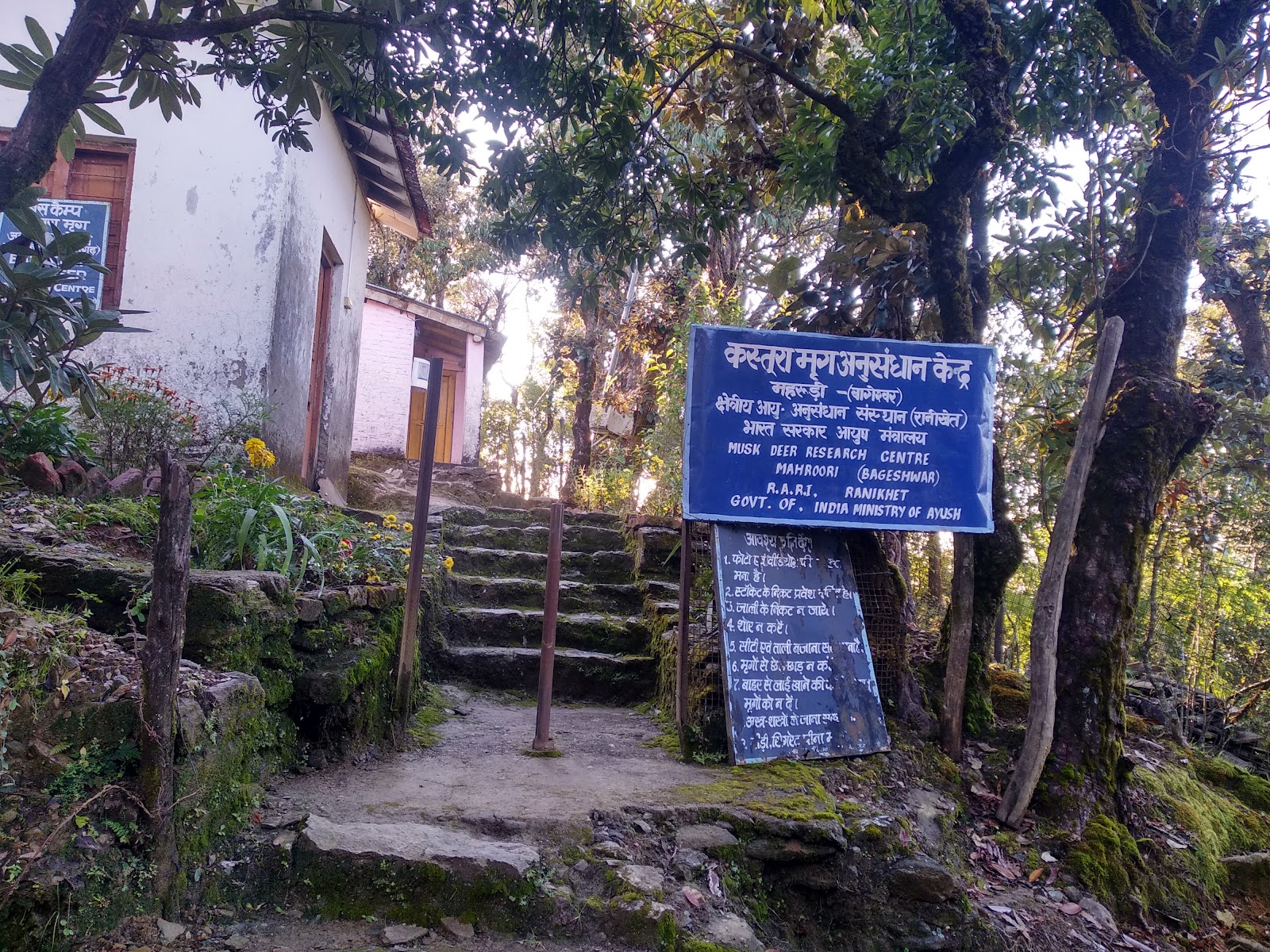 Kanchula Korak Musk Deer Sanctuary