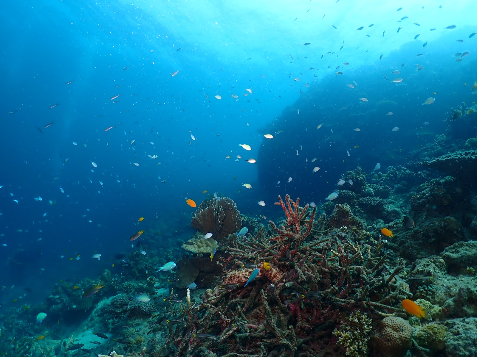 Cinque Island National Park