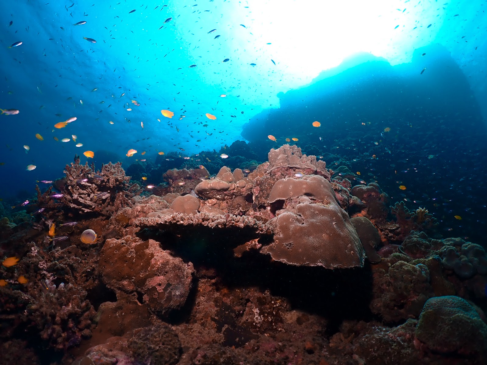 Cinque Island National Park