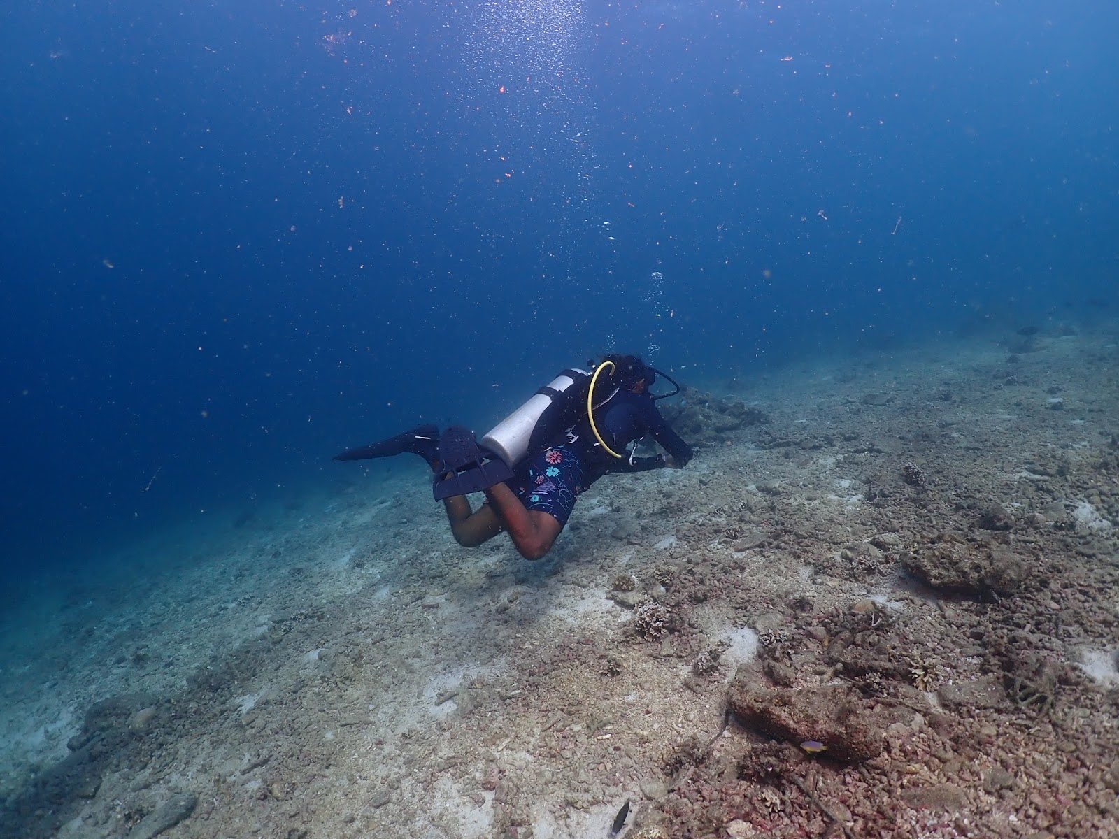 Cinque Island National Park