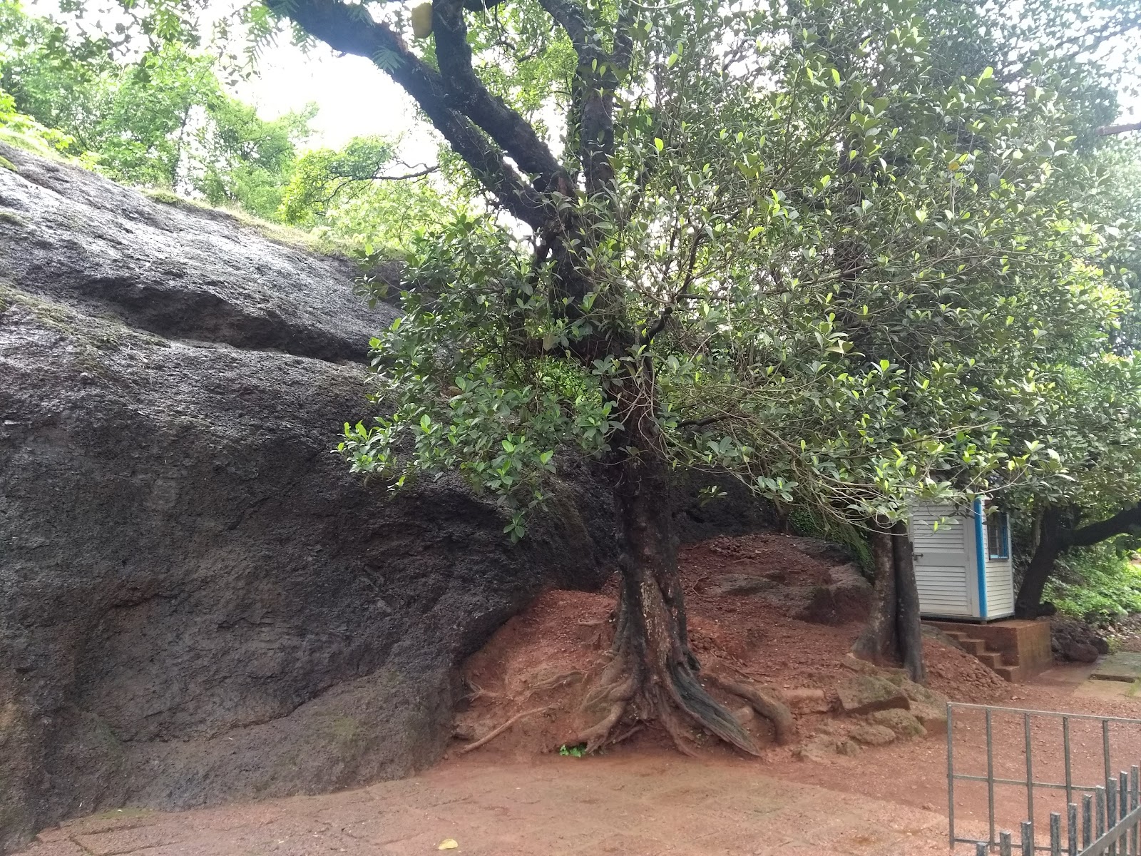 Pandava Caves and Arvalem Waterfalls