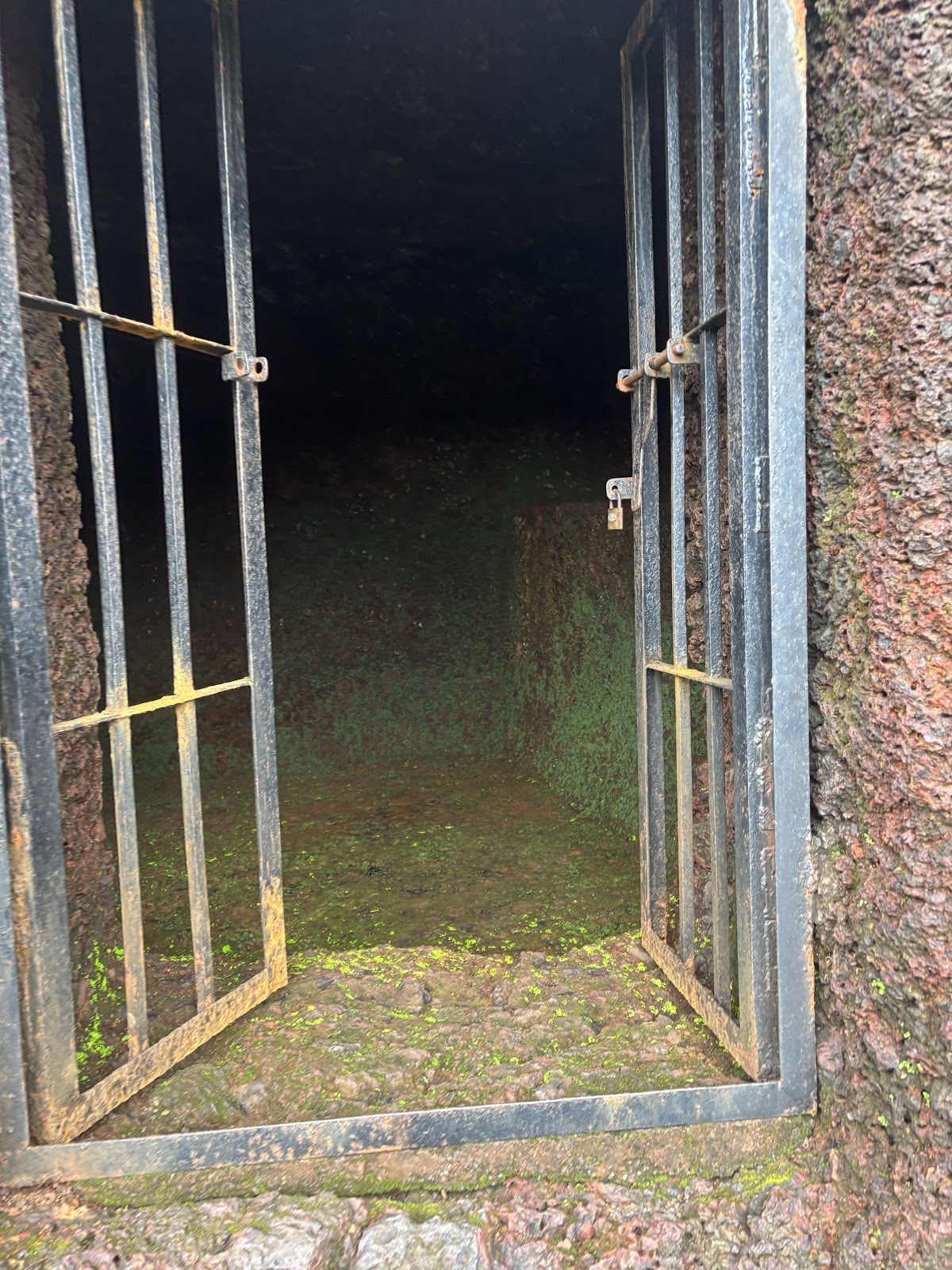 Pandava Caves and Arvalem Waterfalls