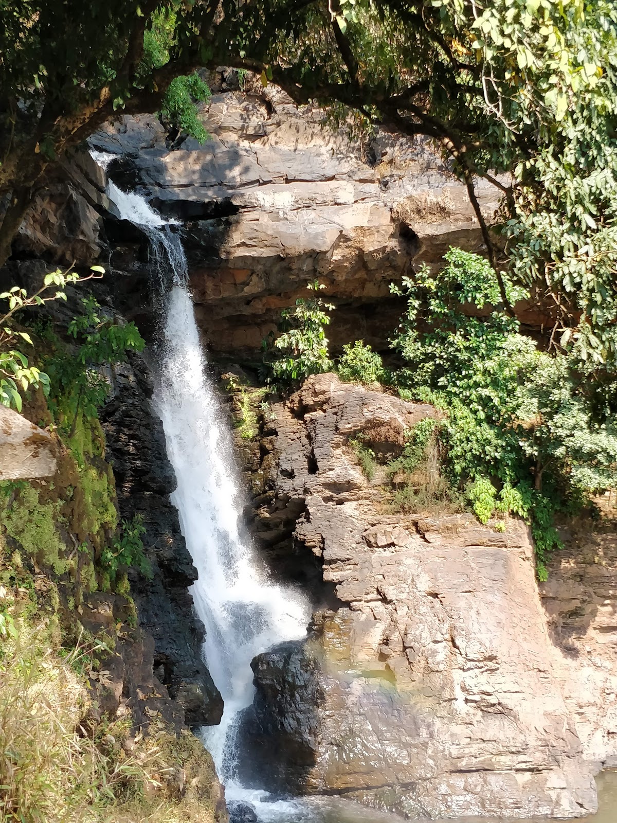 Pandava Caves and Arvalem Waterfalls