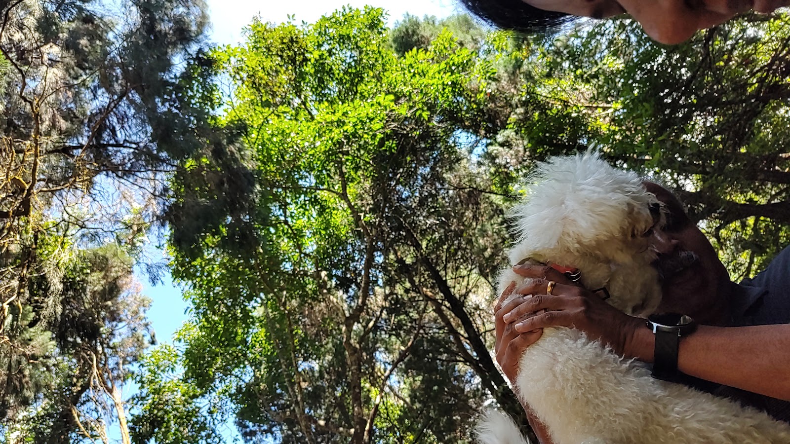 Coonoor Heritage Walk