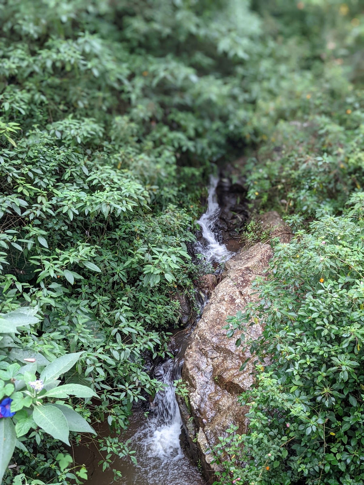 Coonoor Heritage Walk