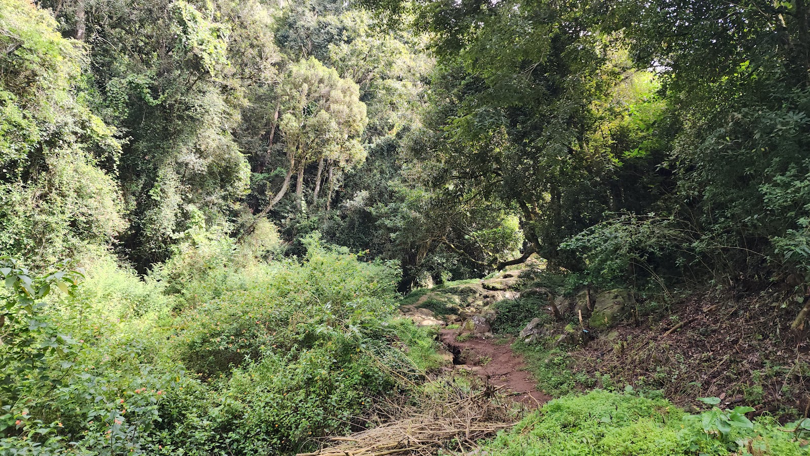 Coonoor Heritage Walk