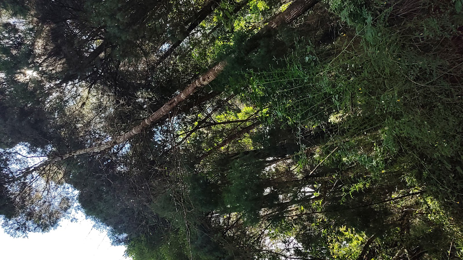 Coonoor Heritage Walk