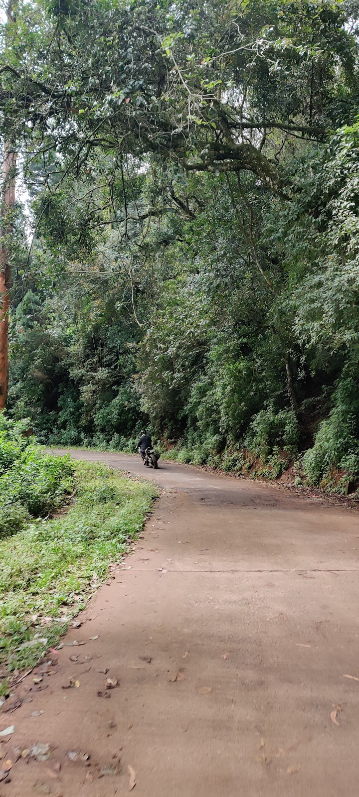 Coonoor Heritage Walk