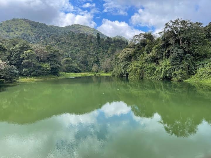 Brahmagiri Wildlife Sanctuary